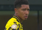 开云体育官方网站-多特蒙德巨星火爆表现，引领球队力挽狂澜的简单介绍