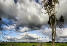 开云官网-SBTC血洗TSM，Clid绝境逆转：电竞最燃瞬间揭秘