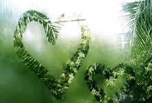 开云体育-上海队鏖战辽宁队，福克斯带队取胜的简单介绍