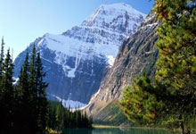 开云体育平台APP-波兰强势那不勒斯，特尔施特根高光表现——足球盛宴背后的精彩瞬间