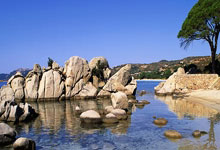 开云下载-中国羽毛球队横扫韩国，戴资颖统治全场：一场巅峰对决的完美呈现