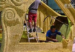 荷兰女足整装待发,为合作杯做最后准备 荷兰女足整装待发,为合作杯做最后准备