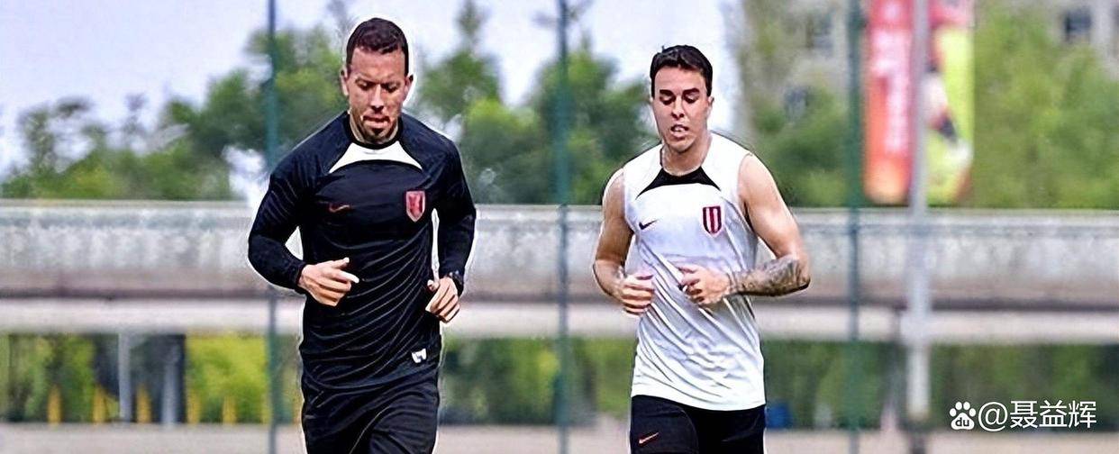 世界篮球巨星荷兰退役,球迷落泪送别 世界篮球巨星荷兰退役,球迷落泪送别