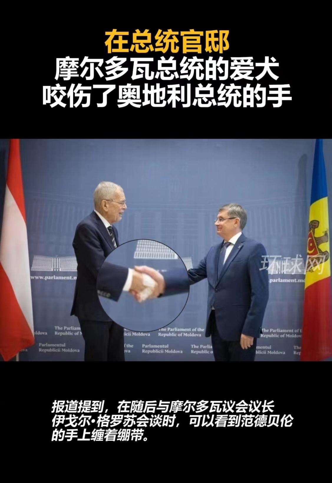 奥地利主场逼平摩尔多瓦,小组排名仍不变的简单介绍 奥地利主场逼平摩尔多瓦,小组排名仍不变的简单介绍