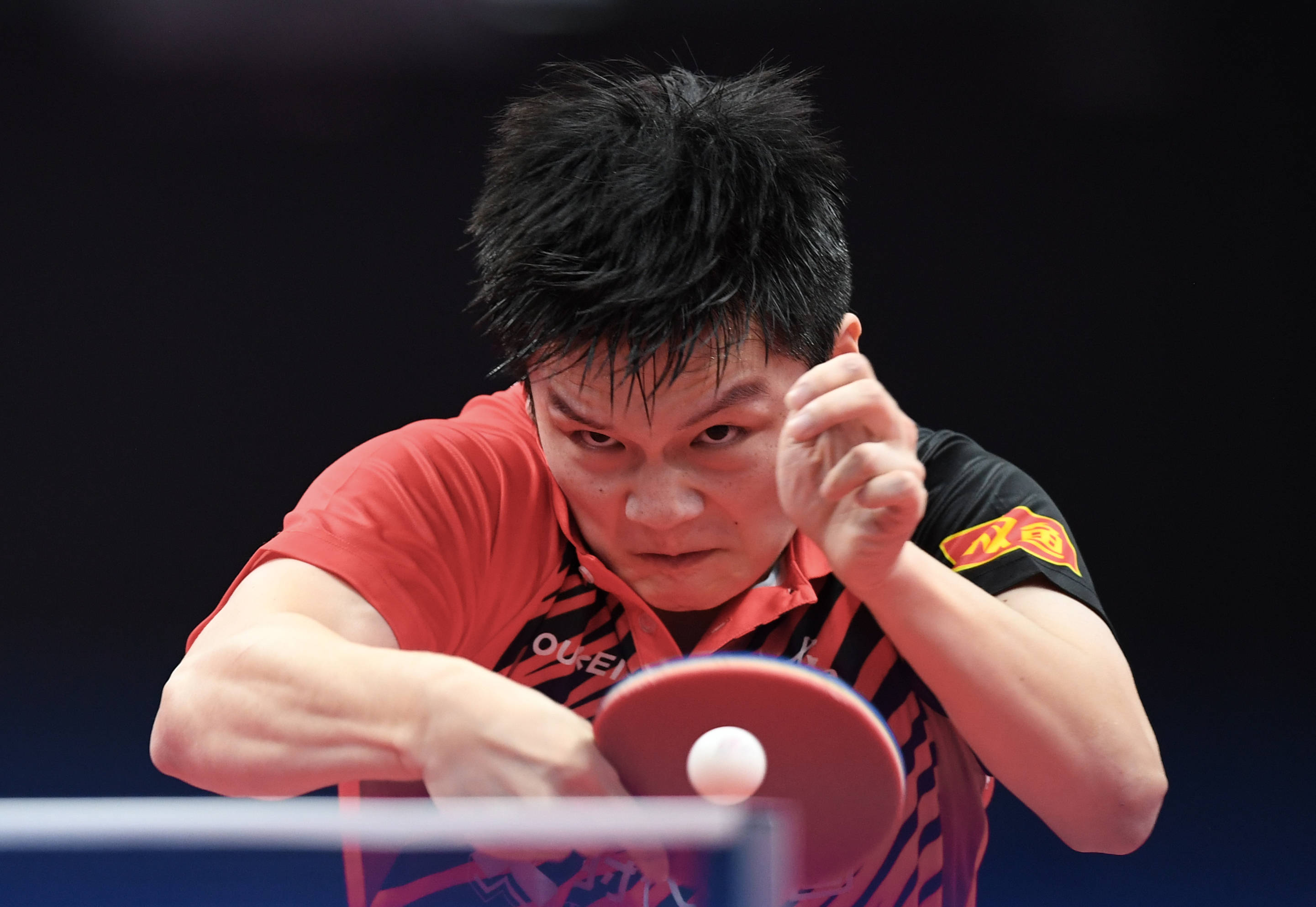 德国乒乓球队横扫英国乒乓球队，樊振东统治全场的简单介绍