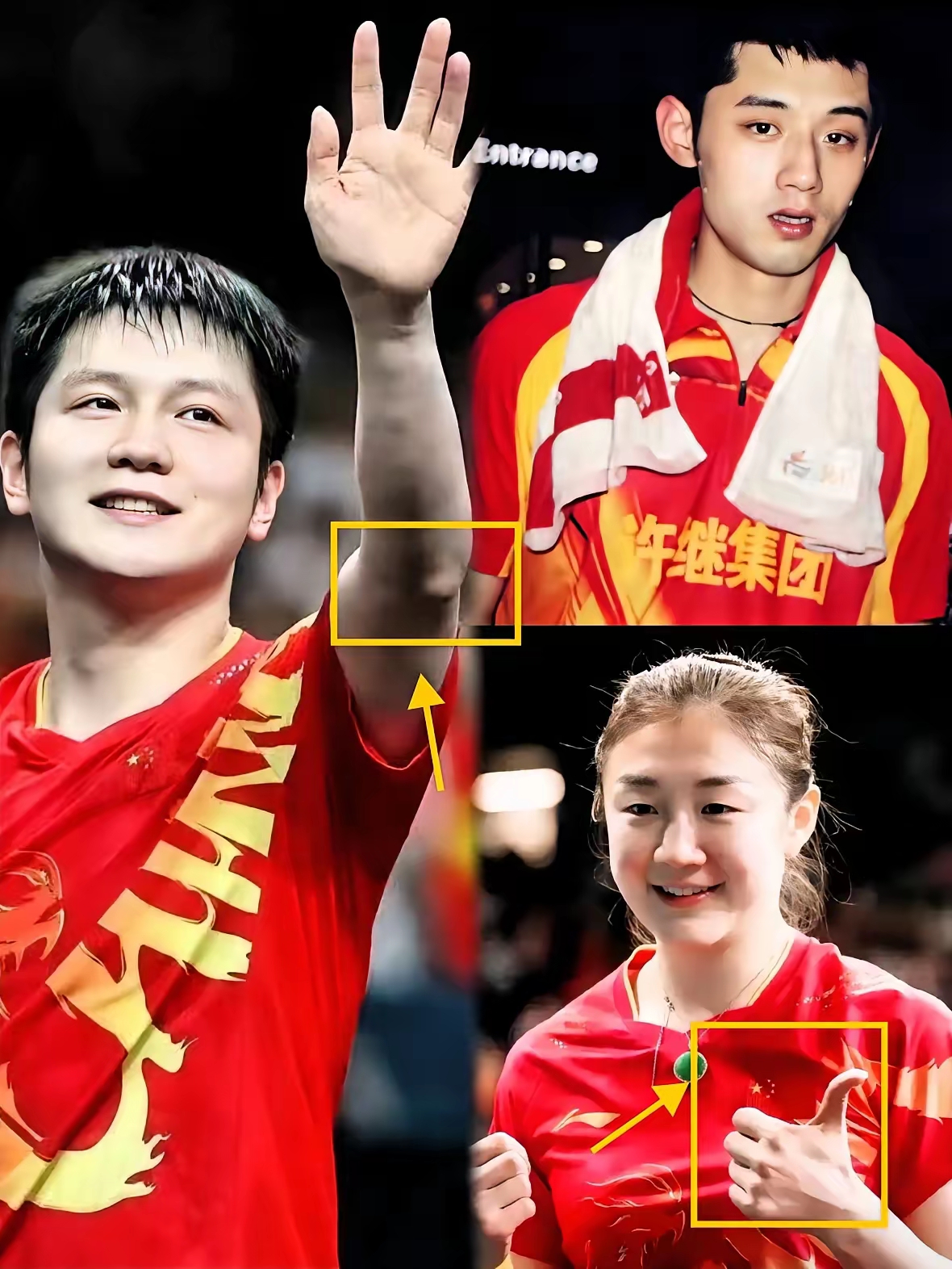 关于波兰队绝杀法国队,张继科点燃赛场的信息 关于波兰队绝杀法国队,张继科点燃赛场的信息